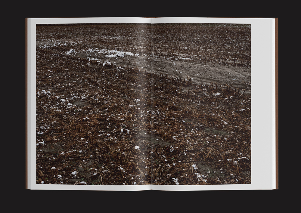 Thompson_Rebels__mockup02