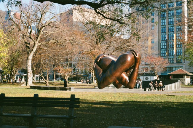 Virginia_Nash_LensScratch--1 - Virginia Nash (1)