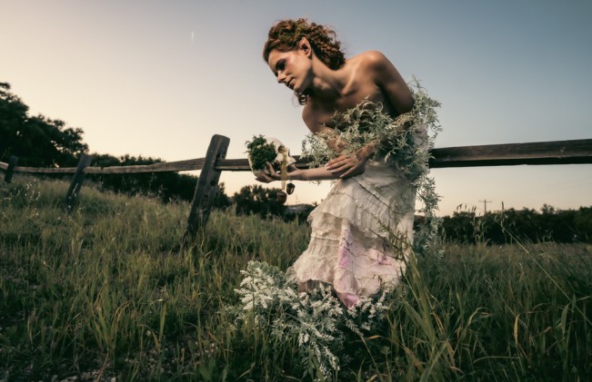 Zander-Fieschko - Zander Fieschko