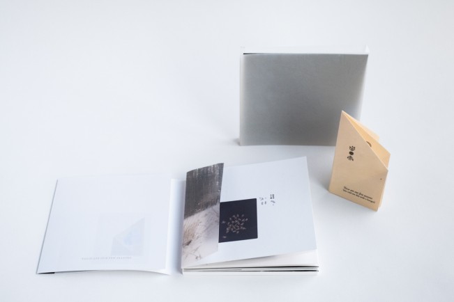 e_cianci_lenscratch02