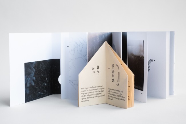 e_cianci_lenscratch04