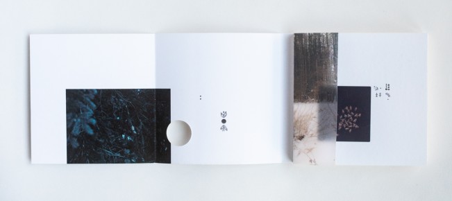 e_cianci_lenscratch06