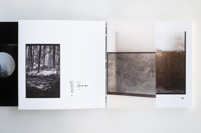 e_cianci_lenscratch08