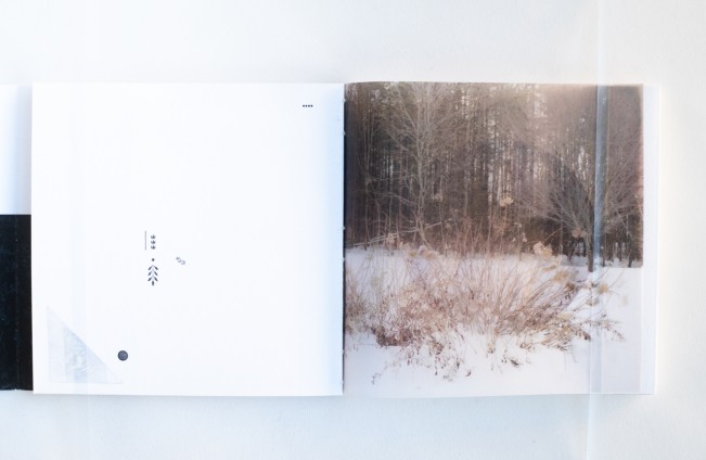 e_cianci_lenscratch09