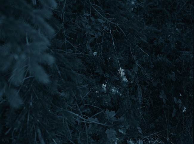 e_cianci_lenscratch13