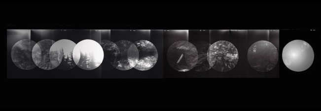 e_cianci_lenscratch15