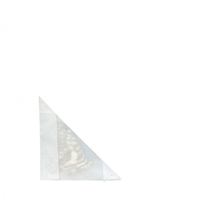 e_cianci_lenscratch18