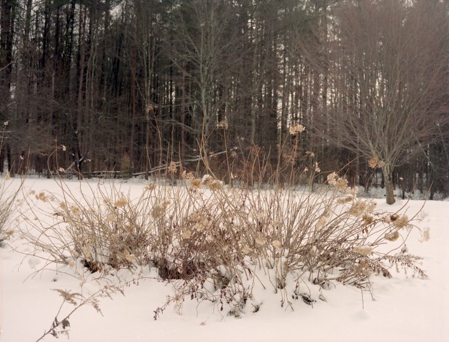 e_cianci_lenscratch19