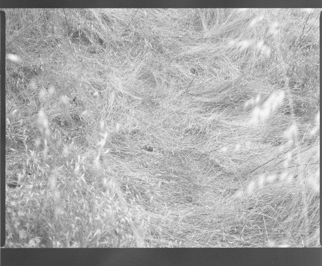 e_cianci_lenscratch20