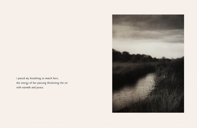 page layouts6_sweeping 2024