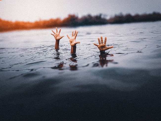 tatchero fidelis - Tatchero