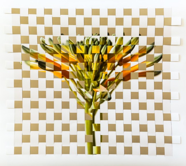 ©Douglas Stockdale, Renewal, @douglasstockdale, https-__www.douglasstockdale.com - Douglas Stockdale