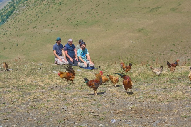 «Утро веры» - Юсиф Саркаров