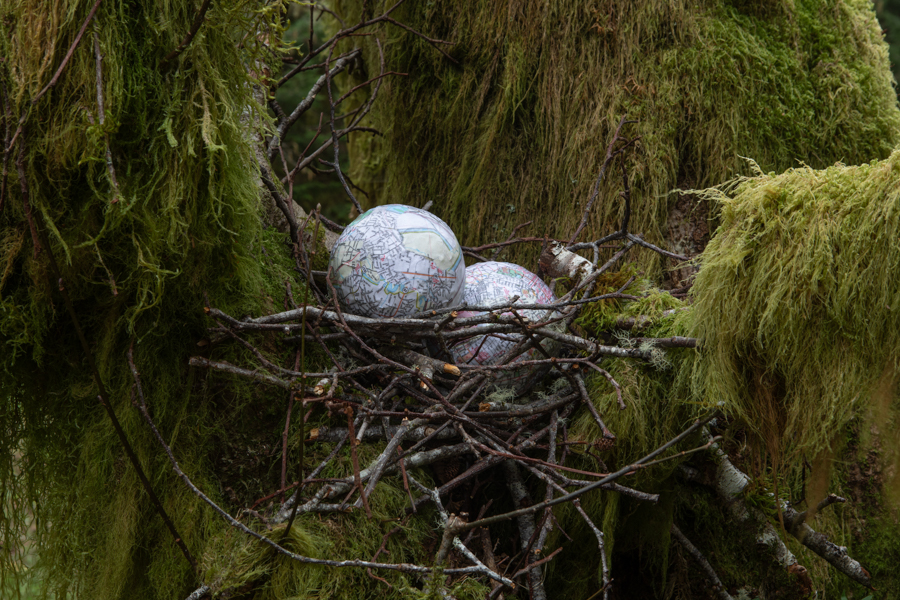 Sitka Nest