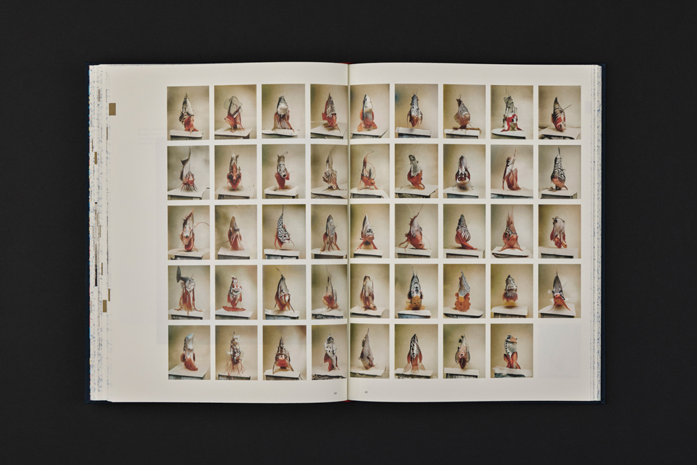 Encyclopaedia_book_10