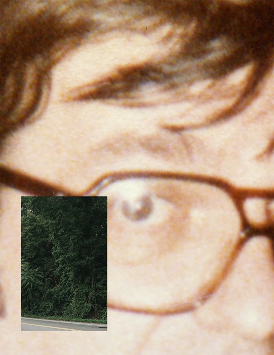 © Diana Carbone, Green Woods Street