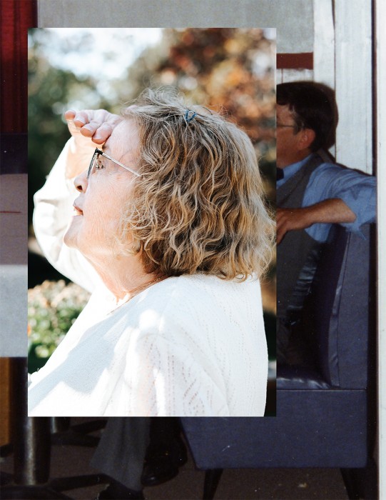 © Diana Carbone, Supervising Yard Work In Plymouth