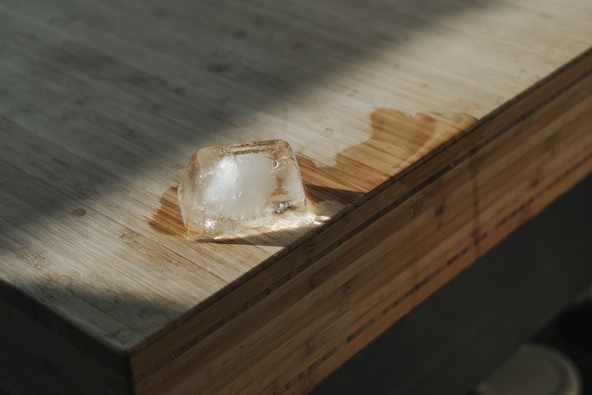 © Diana Carbone, Thursday Evening Sunlight