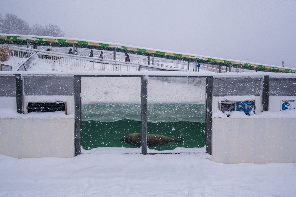 ©2015-2025GeorgeNobechi-Aquariums-1