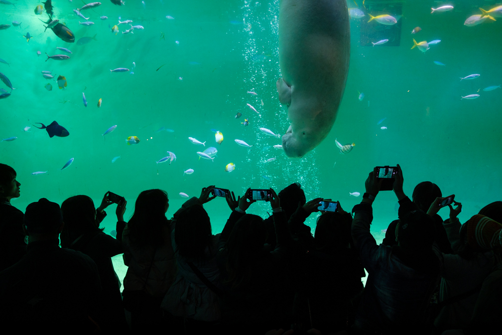 ©2015-2025GeorgeNobechi-Aquariums-2