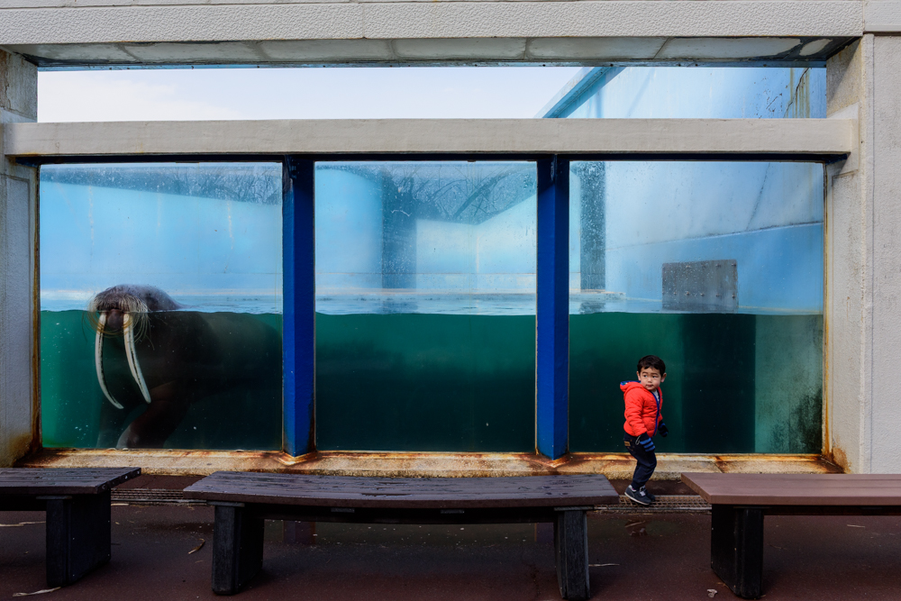 ©2015-2025GeorgeNobechi-Aquariums-3