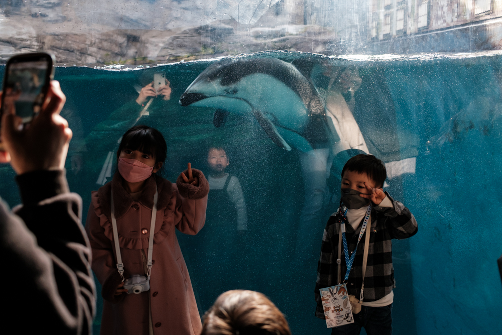 ©2015-2025GeorgeNobechi-Aquariums-4