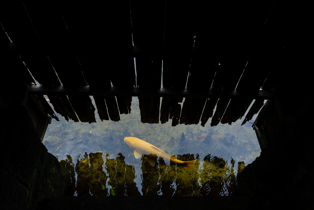 ©2015-2025GeorgeNobechi-TheJapanIHadntSeen-3