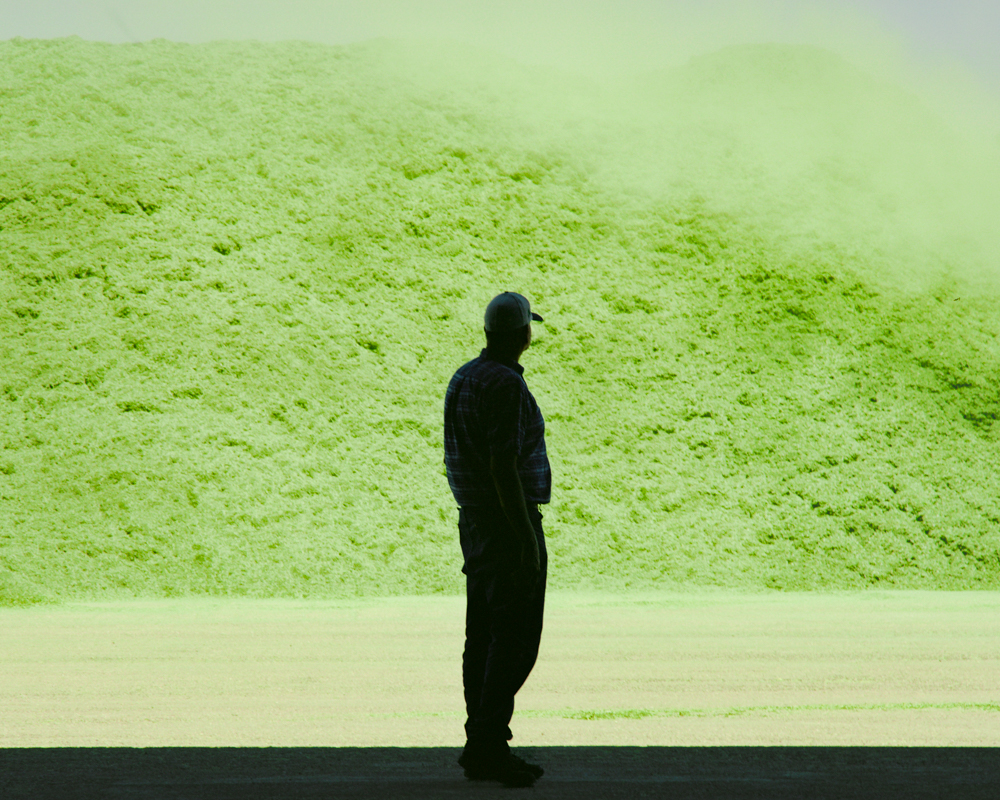 Published in TIME Magazine (Sept 30, 2024) https://time.com/7019