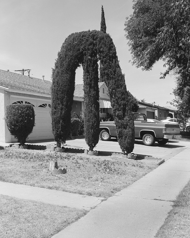 Ayda Gragossian, North North South, GOST, 2025 Overshoot #7 with Yogan Muller