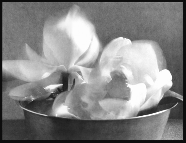 ChristaBowden_MaryRuthMoore_MagnoliaDuet_1978