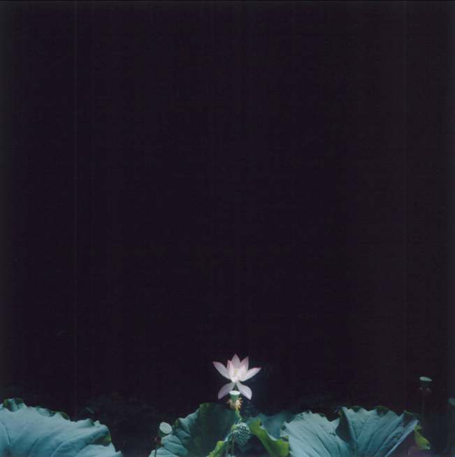 Gail Samuelson - Rinko Kawauchi (better version - use this one!)