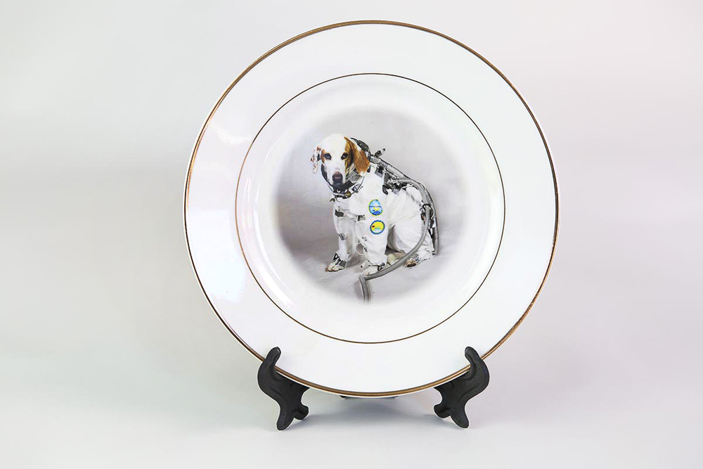 Hillerbrand-Magsamen-14