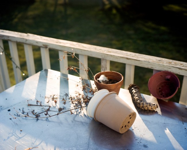 JordannaKalman_KatherineMarchDriscoll_TABLE v1_2024