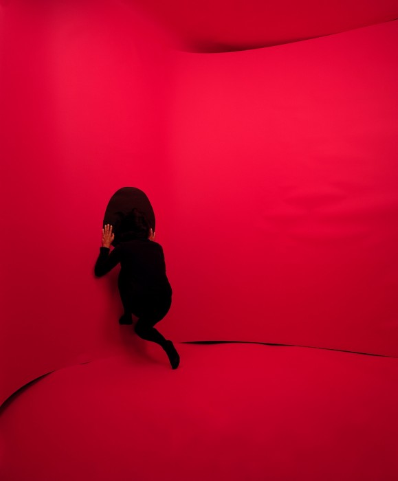 KristineThompson_GinaOsterloh_Press and Erase#2_2007