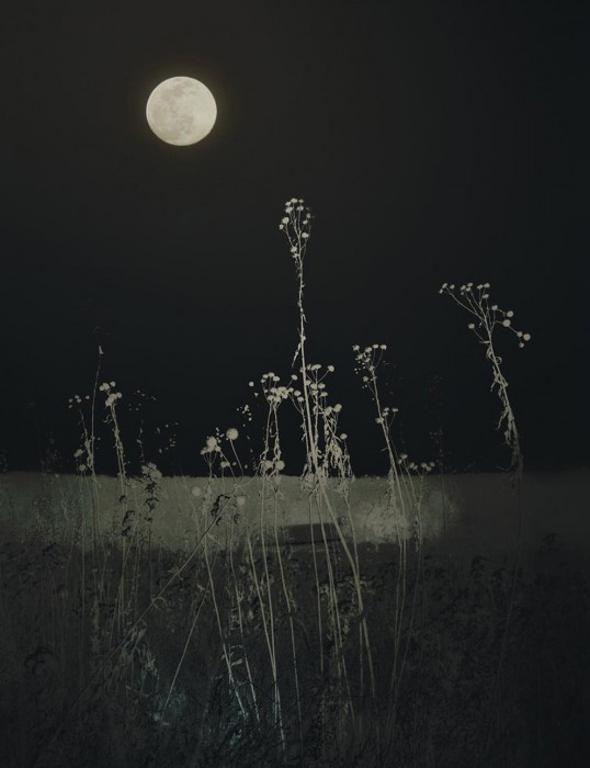 Marky Kauffmann_Sara Silks_Before the Burn