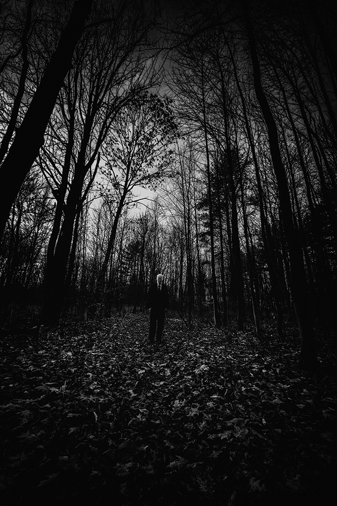 Título: Acechando Fotógrafo: Peggy Reynolds Correo electrónico: prs24x@outlook.com