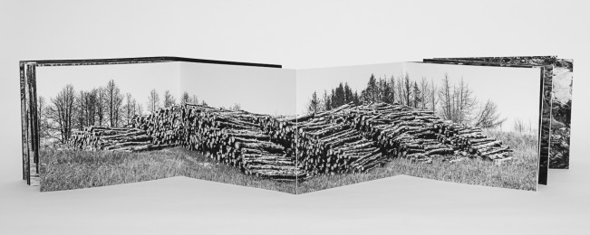 RanaYoung_DanaFritz_Post-firePostscript_2024