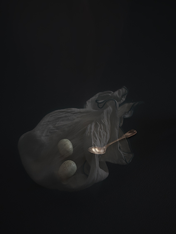 SunjooLee_Untold quail eggs_2022