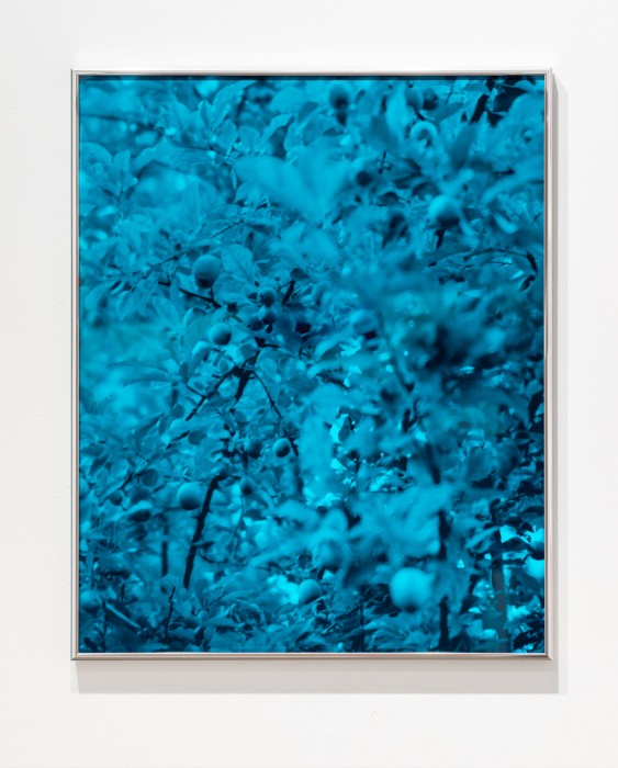 Thalassa Raasch_Sarah Meadows_Untitled_2024