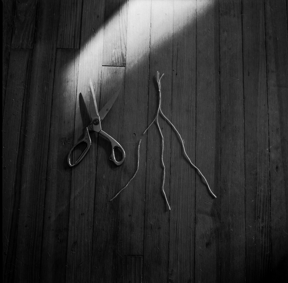 Hasselblad 500 C/M. Photo by Micah McCoy.