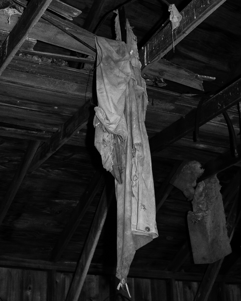 Leica M (Typ 240). Photo by Micah McCoy.