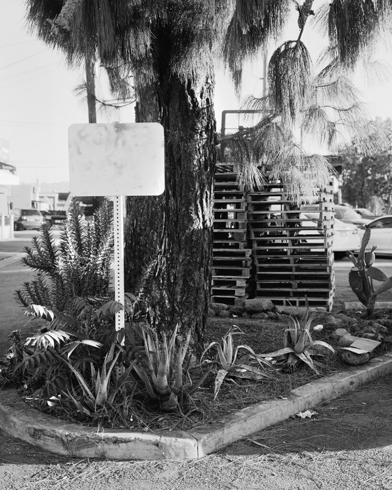 Ayda Gragossian, North North South, GOST, 2025 Overshoot #7 with Yogan Muller