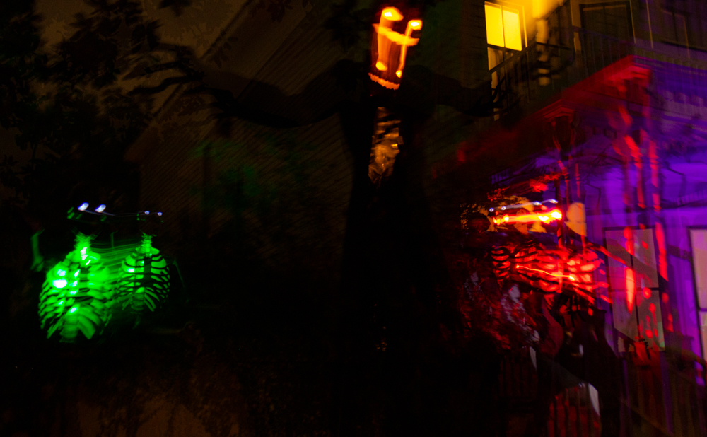 ©Cianna Pringley, Alma esqueleto viva, @0.jinx - Cianna Pringley