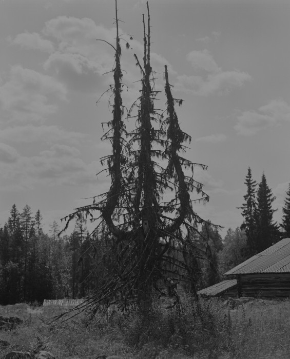 210923_MD_OTSOM_21_ 015