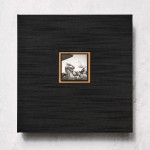 This jpeg has been prepared for the Deember 2025 Lenscratch.com interview with Tracy L. Chandler. Not for Reproduction or additional use. All Rights Reserved.

These twenty-six sets of Fairgrounds lettered A through Z plus four artist proofs constitute the final copies from the 2008 first printing of five hundred. Each set preserves the original publication—twenty-four pages with twenty-six tri-tone plates, hand-sewn as a single signature. Designed by Sean Perry and Jace Graf, printed on 100 lb LOE Book paper by CSI Printing & Graphics, Austin. Letterpress covers were printed on 80 lb Neenah Classic Columns paper by Bradley Hutchinson. Typography set in Didot and Frutiger. Introduction by curator Clint Willour and conversation with art director Gregory Wakabayashi.

The custom drop spine box, fabricated in 2025 from Japanese Asahi book cloth over archival board with foil-stamped spine, houses the original together with Crazy Dance, a carbon ink print from the Fairgrounds series not included in the 2008 publication. Ryujin, 2 × 2 inches on washi, is inlaid in the cover. Crazy Dance, produced with archival carbon ink on 300 gsm cotton rag paper, is numbered and signed on the verso.

Design by Sean Perry and Kaoru Perry. Box fabrication by Kaoru Perry and Jace Graf at Cloverleaf Studio, Austin, Texas. All materials selected for archival permanence.