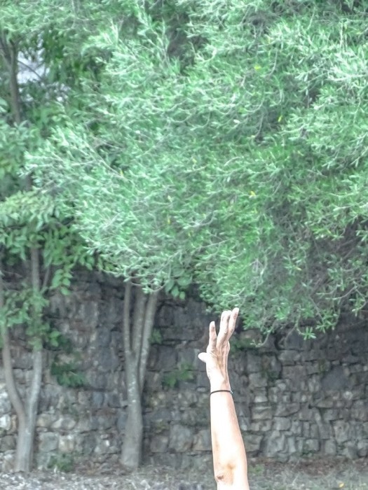 Alexandra_ Kontodima_Gratitude to nature_020306 - Alexandra Kontodima25 - Thanksgiving -