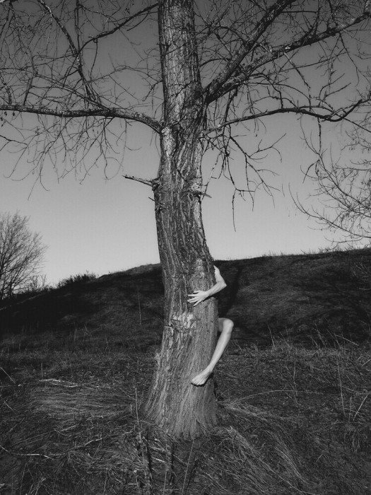 Alla Kucheryavaya - Алла Кучерявая25 - Thanksgiving -