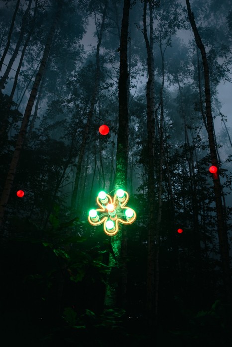 Anastasiia_Baliasnikova - Анастасия Балясникова