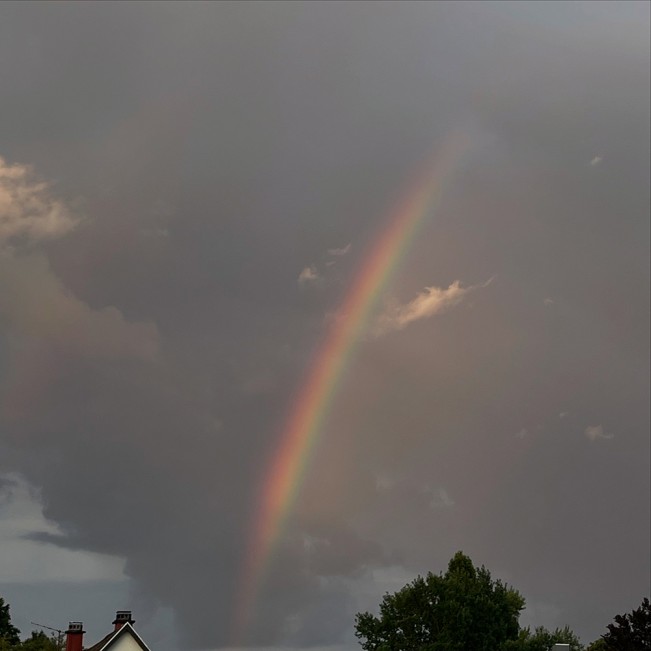 Dorothee-Lang-Rainbow-2025-Germany - doroblueprint2125 - Thanksgiving -