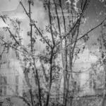 Dushi_PresencesUnseenPresencesFelt-2